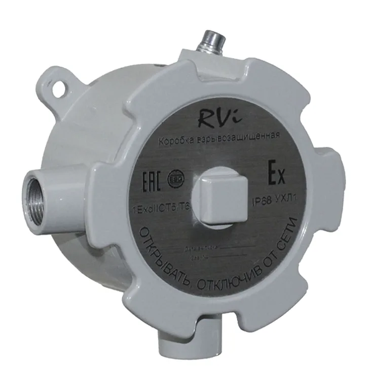 RVI RVI-4TJB-AS/K01.С-EX